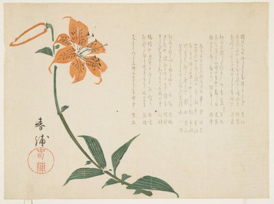 Tiger lily, c.1861-64 by Shumpo